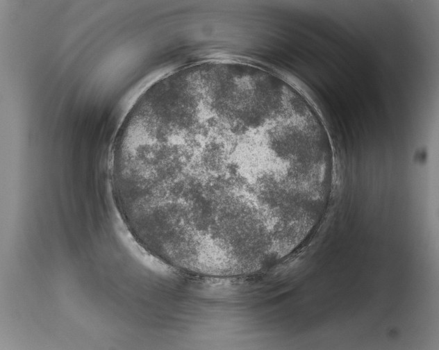X0000114211098200911201017
