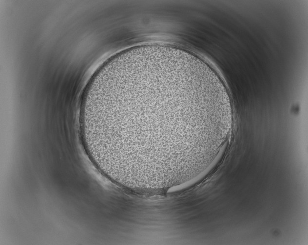 X0000114211099200911201017