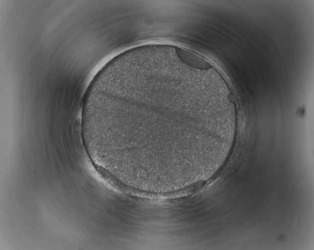 X0000114211100200911201017