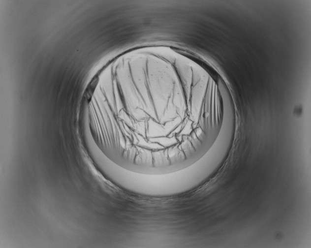 X0000114211101200911201017