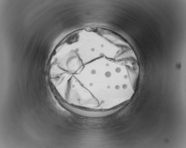 X0000114211102200911201017