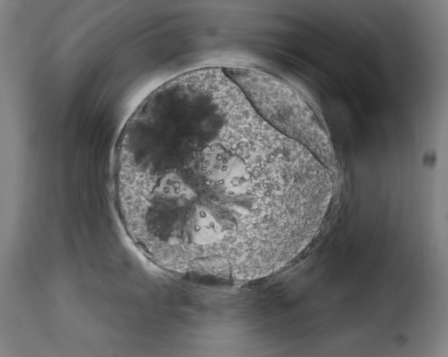 X0000114211103200911201017