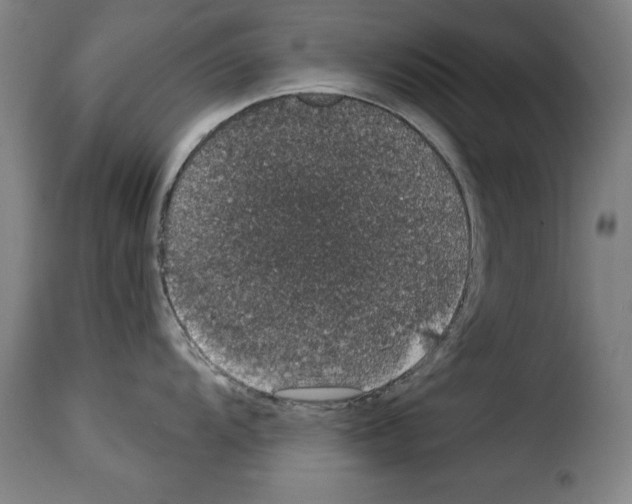 X0000114211104200911201017
