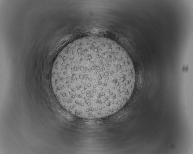 X0000114211105200911201016