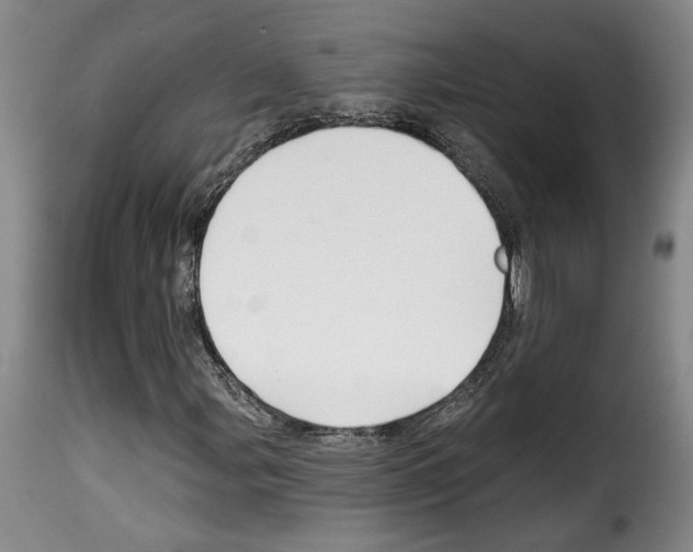 X0000114211107200911201016