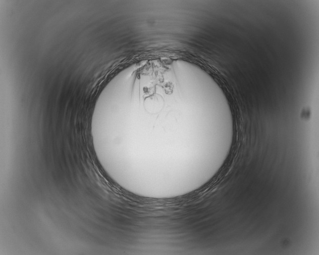 X0000114211108200911201016