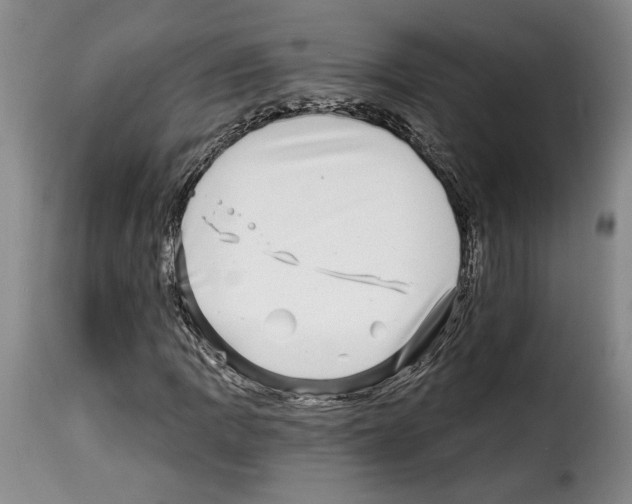 X0000114211109200911201016