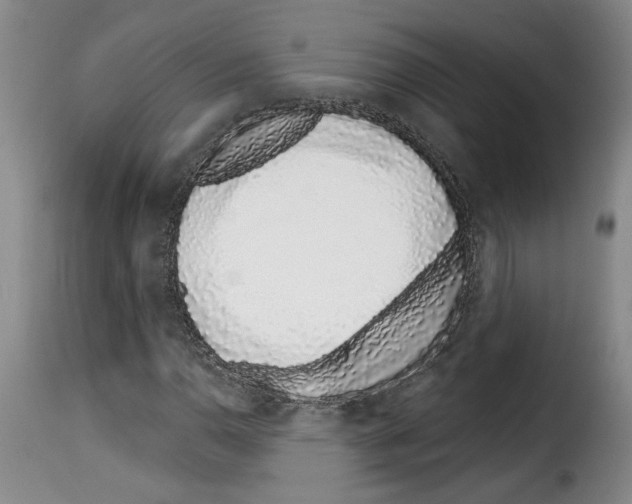 X0000114211110200911201016