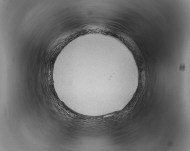 X0000114211111200911201016