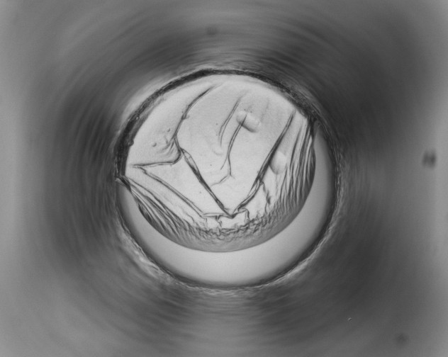 X0000114211114200911201016