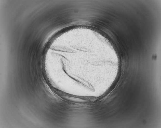 X0000114211115200911201016