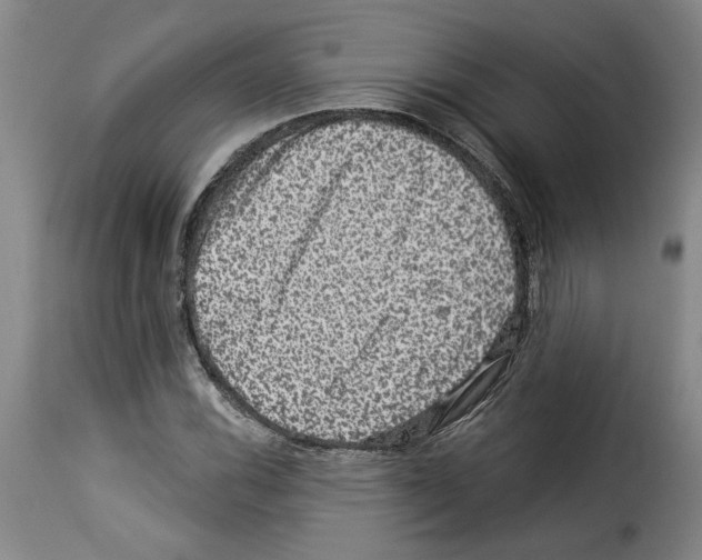 X0000114211116200911201016