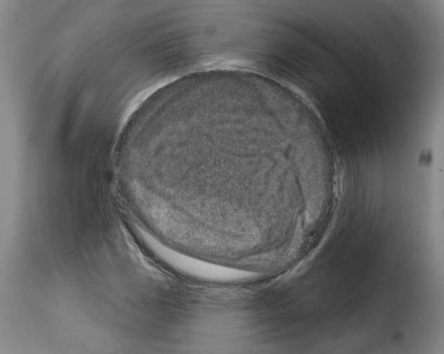 X0000114211117200911201016