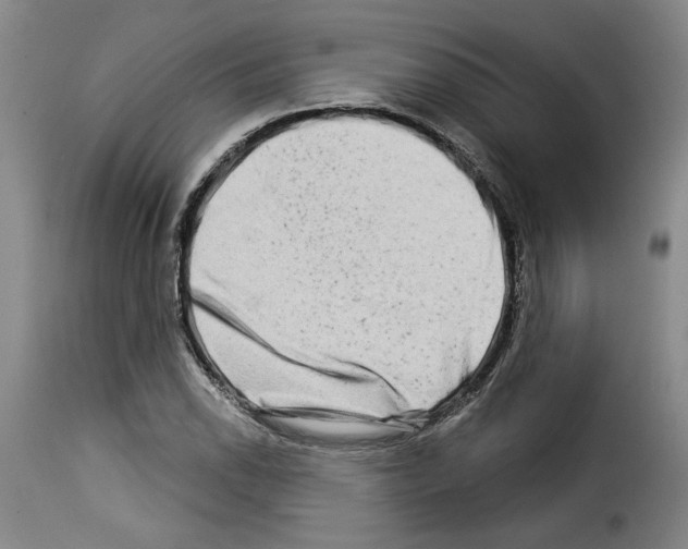 X0000114211118200911201016
