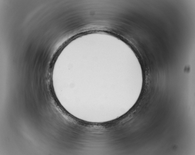 X0000114211119200911201016