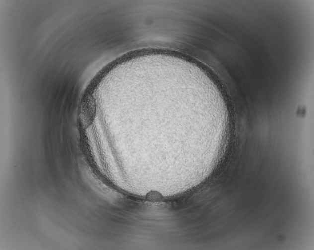 X0000114211120200911201016