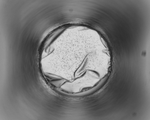 X0000114211122200911201016