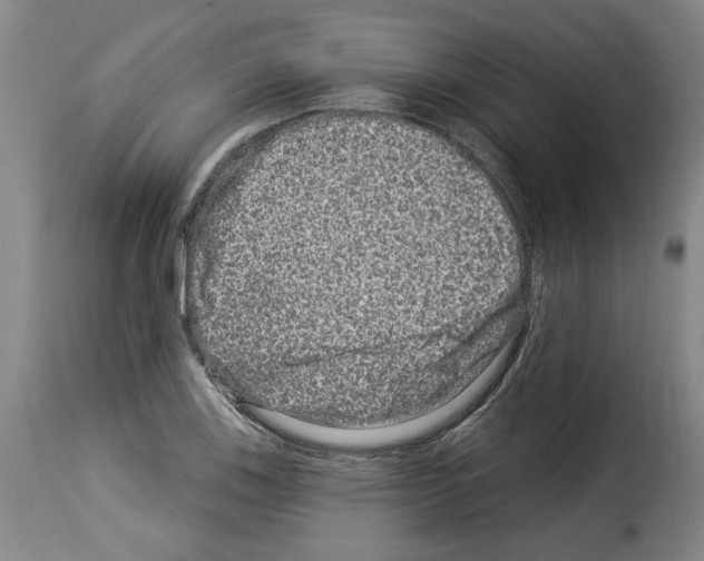 X0000114211123200911201016