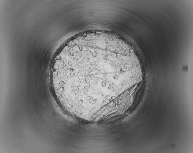 X0000114211125200911201016