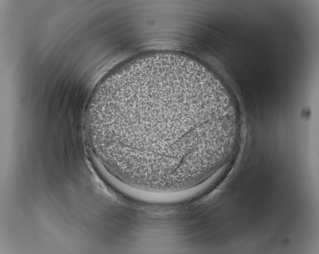 X0000114211129200911201017
