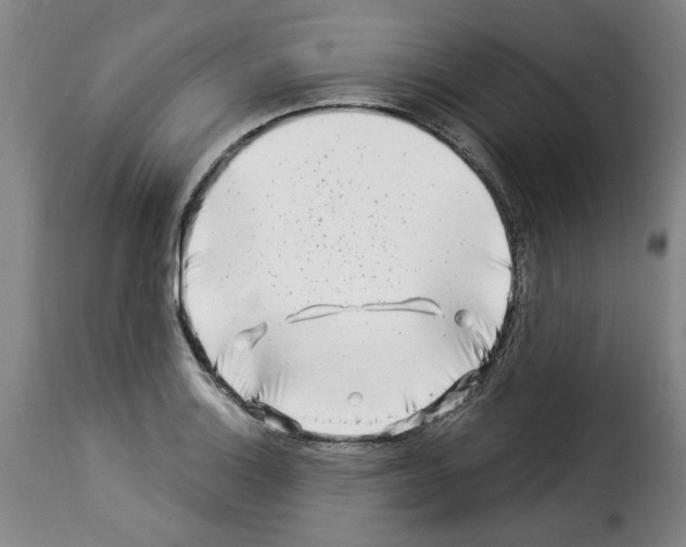 X0000114211132200911201017