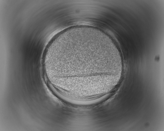 X0000114211133200911201017