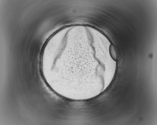 X0000114211134200911201017