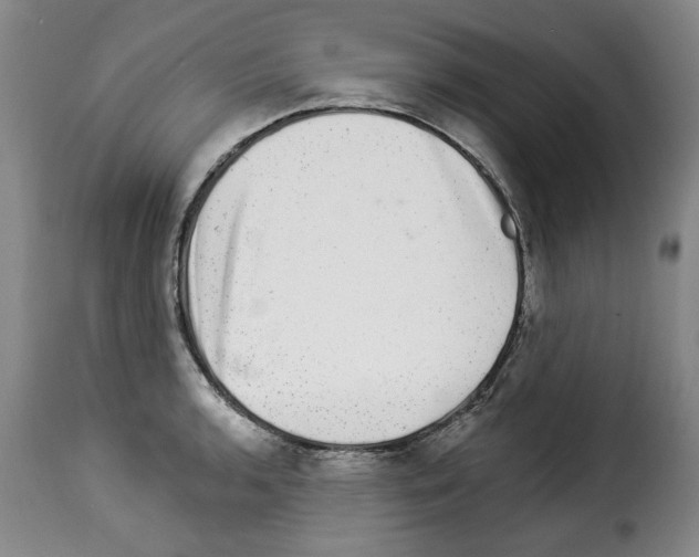 X0000114211136200911201017