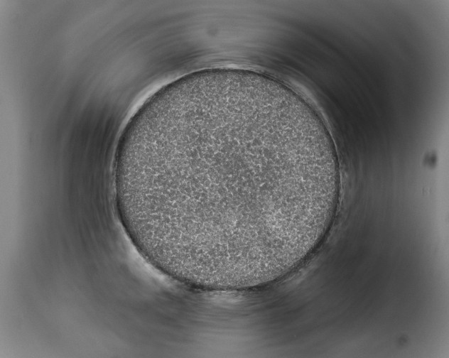 X0000114211141200911201017