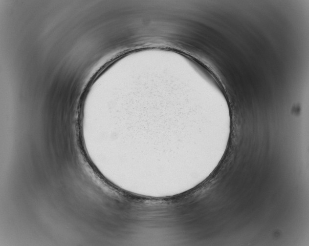 X0000114211142200911201017