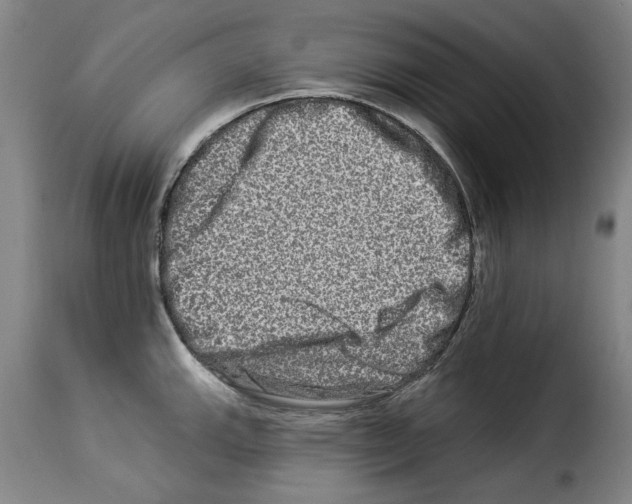 X0000114211143200911201017