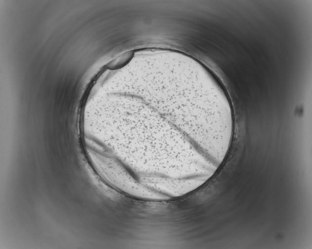X0000114211144200911201017