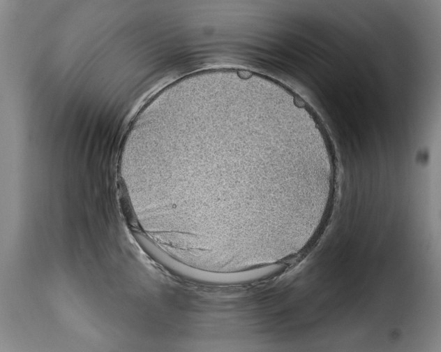 X0000114211145200911201017