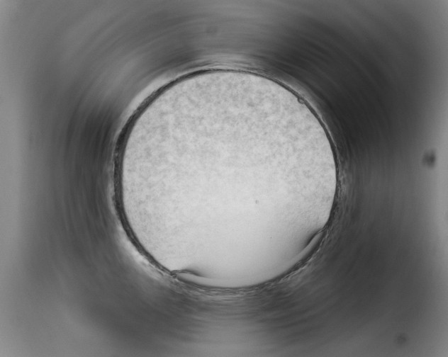 X0000114211147200911201017
