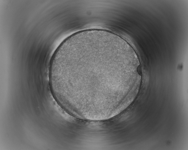 X0000114211148200911201017