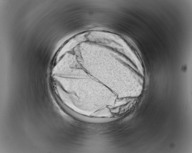 X0000114211149200911201017