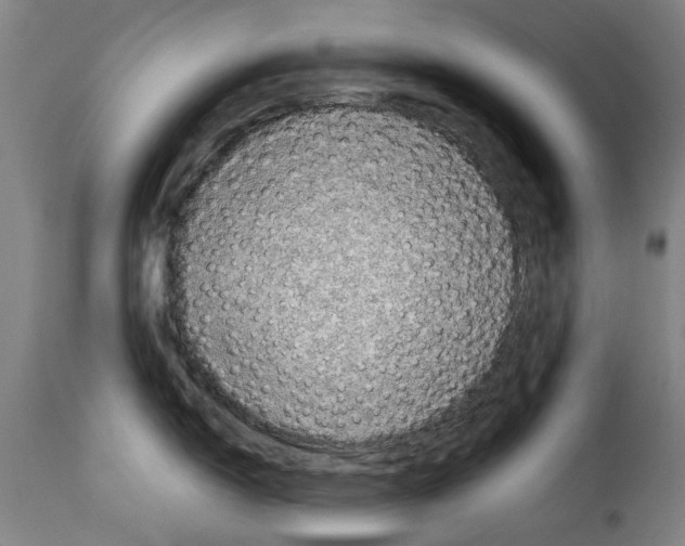 X0000114211150200911201017