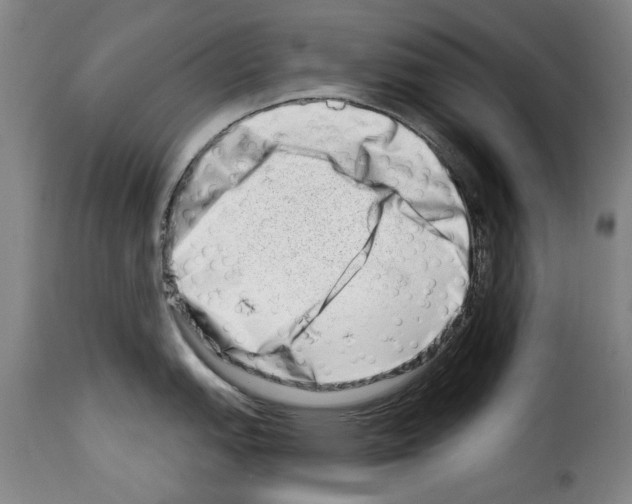 X0000114211151200911201017