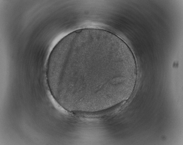 X0000114211152200911201017
