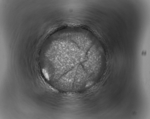 X0000114211153200911201016