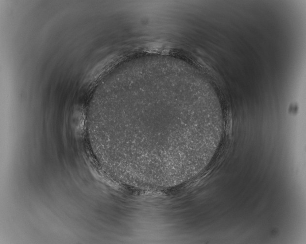 X0000114211154200911201016