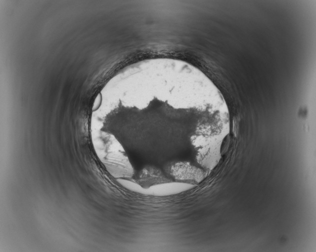 X0000114211155200911201016
