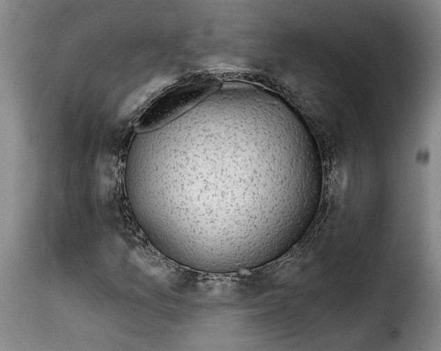 X0000114211157200911201016