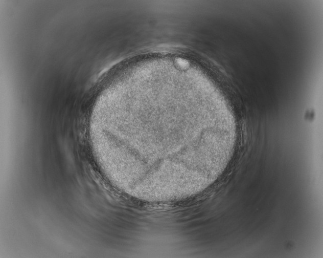 X0000114211158200911201016
