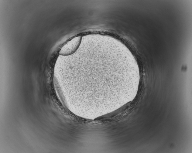 X0000114211159200911201016