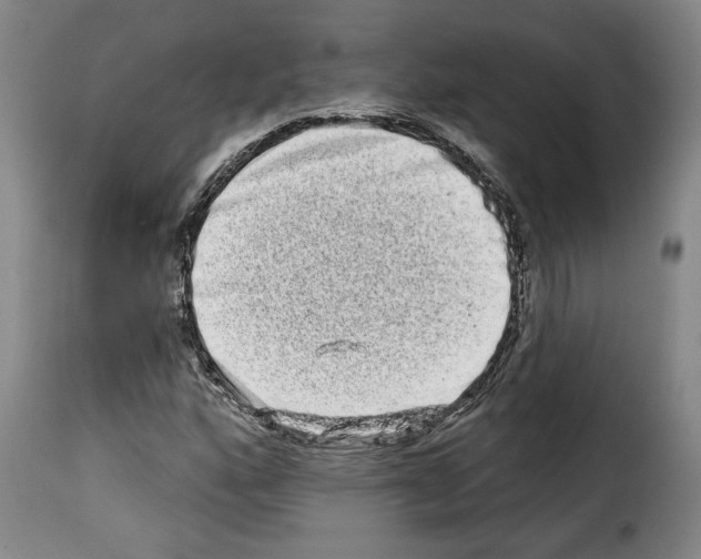 X0000114211160200911201016