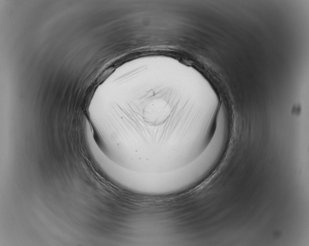 X0000114211161200911201016