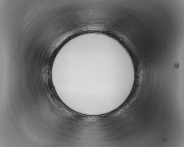 X0000114211162200911201016