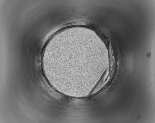 X0000114211164200911201016