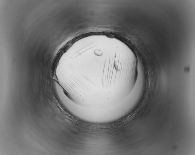 X0000114211165200911201016